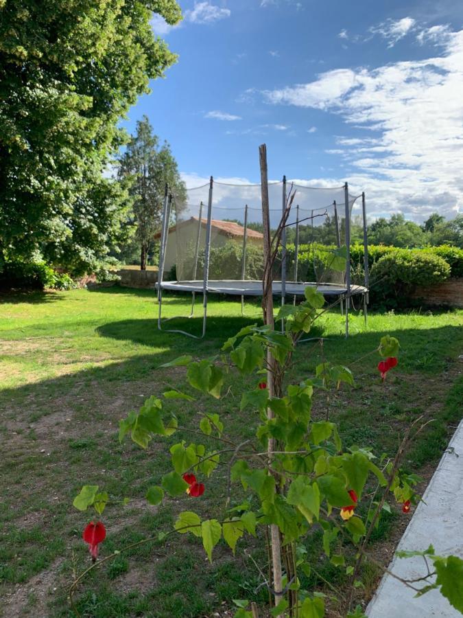 Chambre D'Hotes Et Table D'Hotes Domaine De La Terrasse Sas Et Gite Anda Montauban Lacourt-Saint-Pierre 외부 사진