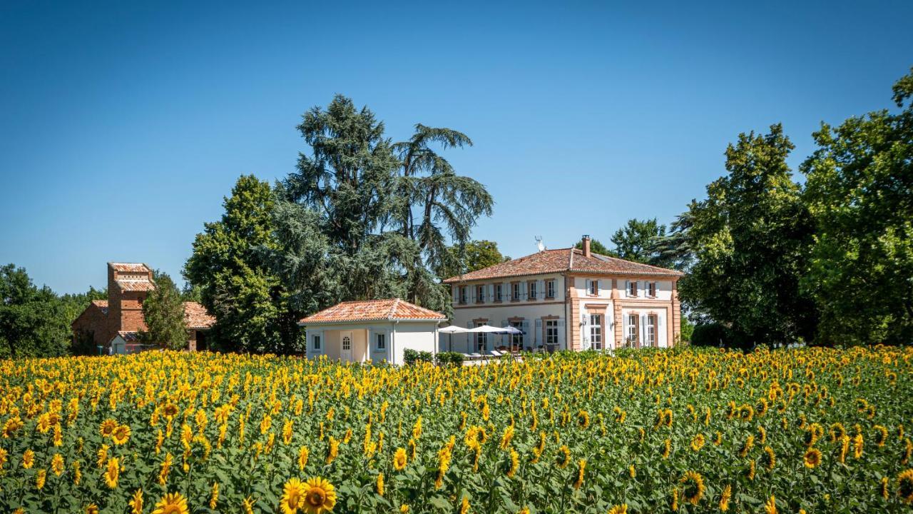 Chambre D'Hotes Et Table D'Hotes Domaine De La Terrasse Sas Et Gite Anda Montauban Lacourt-Saint-Pierre 외부 사진