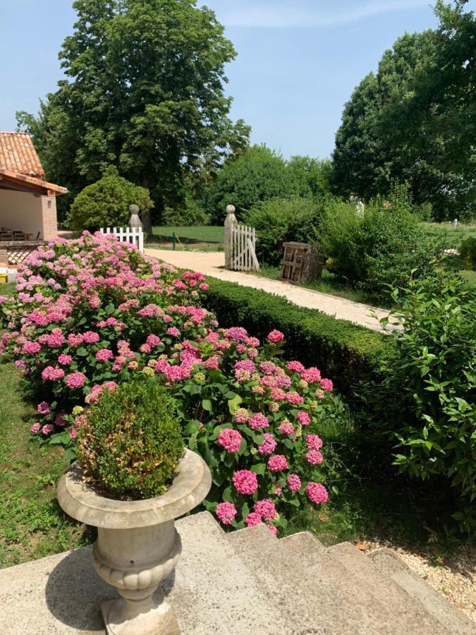 Chambre D'Hotes Et Table D'Hotes Domaine De La Terrasse Sas Et Gite Anda Montauban Lacourt-Saint-Pierre 외부 사진